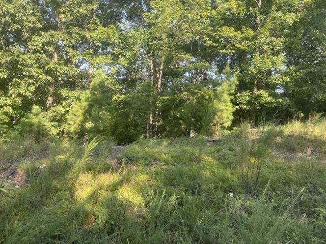 Tract 2 Belew Hollow Hill Rd Property Photo 12