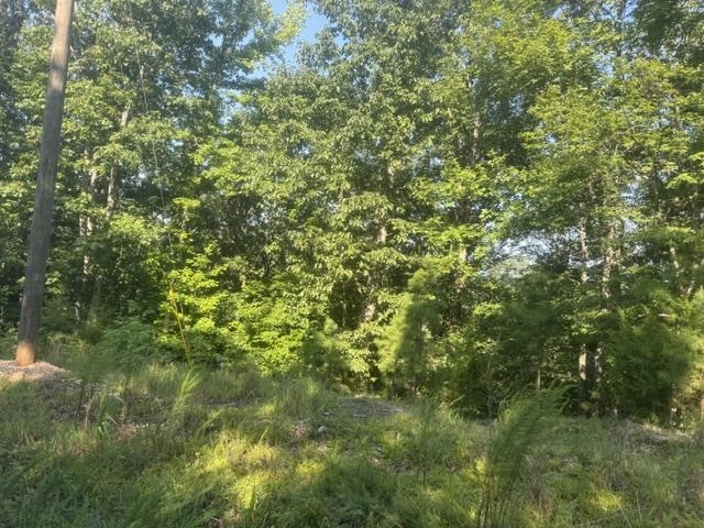 Tract 2 Belew Hollow Hill Rd Property Photo 13