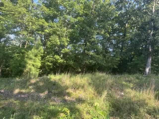 Tract 2 Belew Hollow Hill Rd Property Photo 14
