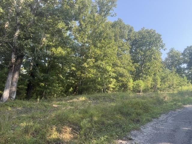 Tract 2 Belew Hollow Hill Rd Property Photo 15