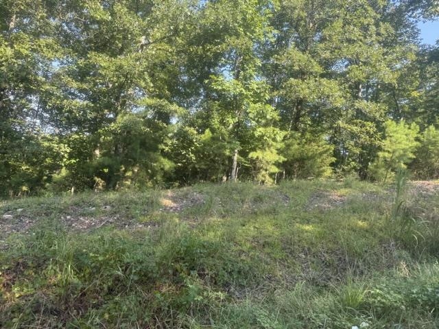 Tract 2 Belew Hollow Hill Rd Property Photo 17