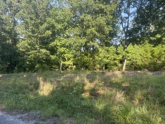 Tract 2 Belew Hollow Hill Rd Property Photo 18