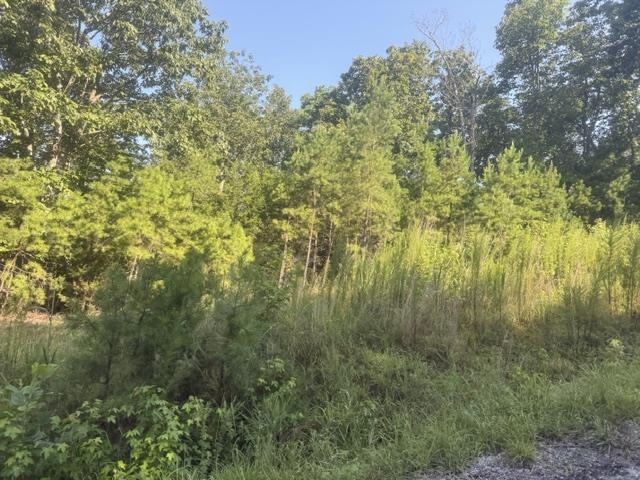 Tract 2 Belew Hollow Hill Rd Property Photo 19