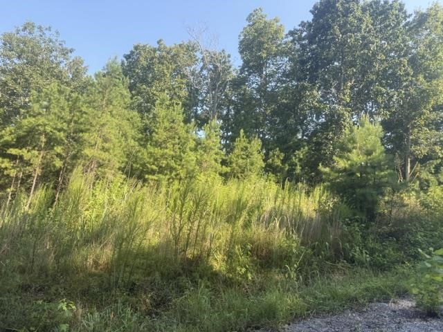 Tract 2 Belew Hollow Hill Rd Property Photo 20