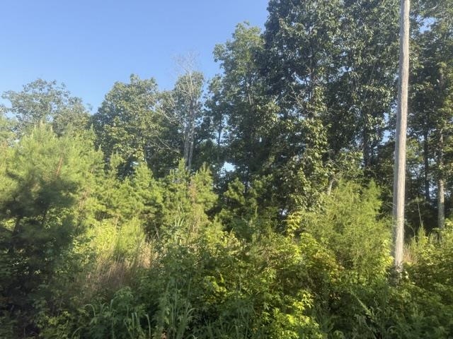 Tract 2 Belew Hollow Hill Rd Property Photo 21