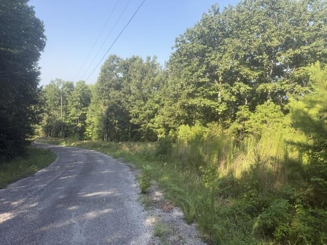 Tract 2 Belew Hollow Hill Rd Property Photo 22