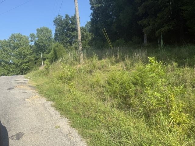 TRACT 3 CARROLL HOLLOW RD Property Photo 1