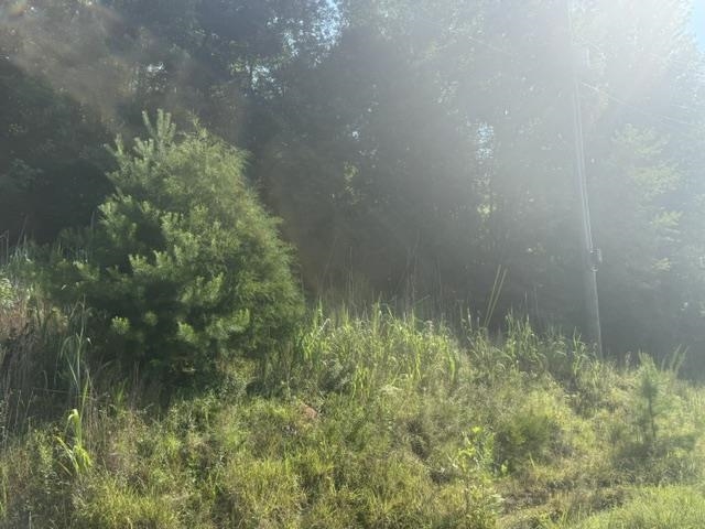 Tract 3 Carroll Hollow Rd Property Photo 2