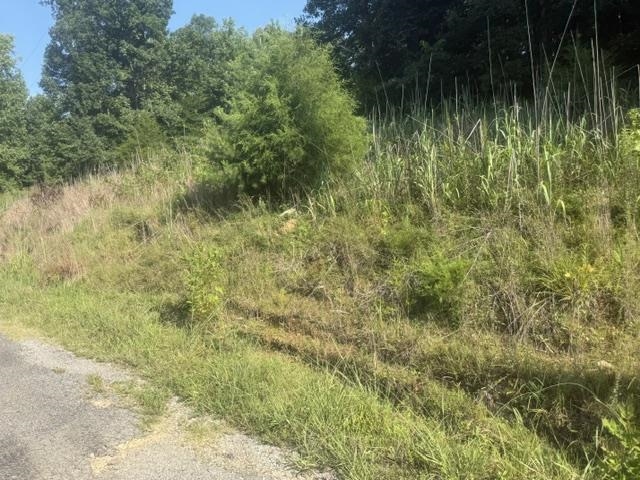 Tract 3 Carroll Hollow Rd Property Photo 3