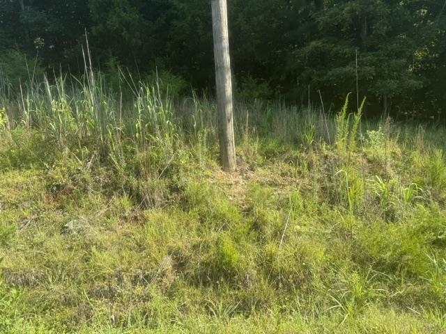 Tract 3 Carroll Hollow Rd Property Photo 4