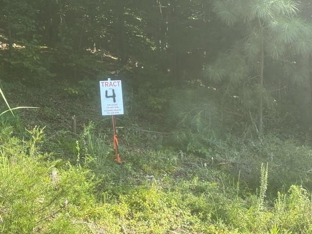 Tract 3 Carroll Hollow Rd Property Photo 5