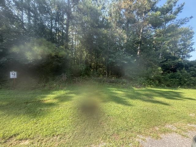 Tract 3 Carroll Hollow Rd Property Photo 6