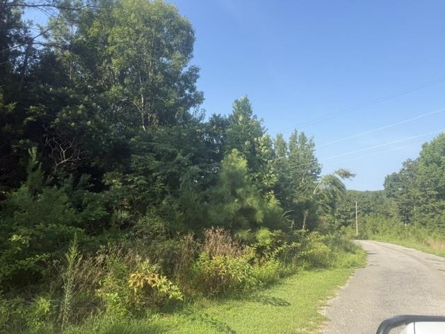 Tract 3 Carroll Hollow Rd Property Photo 7