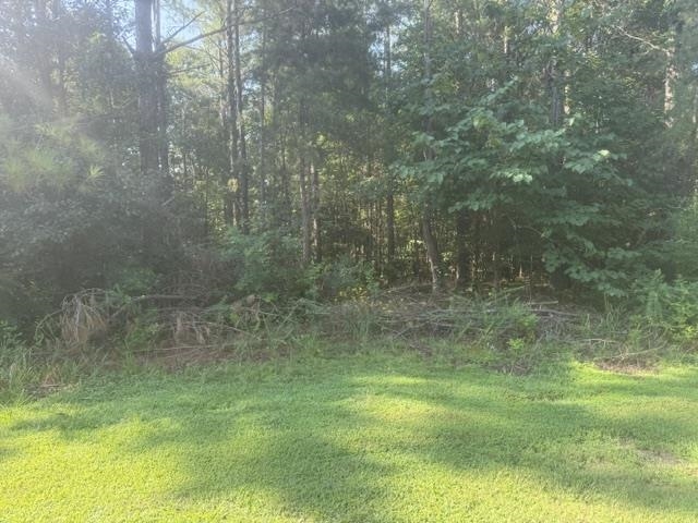 Tract 3 Carroll Hollow Rd Property Photo 8