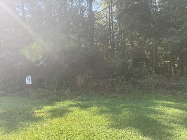 Tract 3 Carroll Hollow Rd Property Photo 9