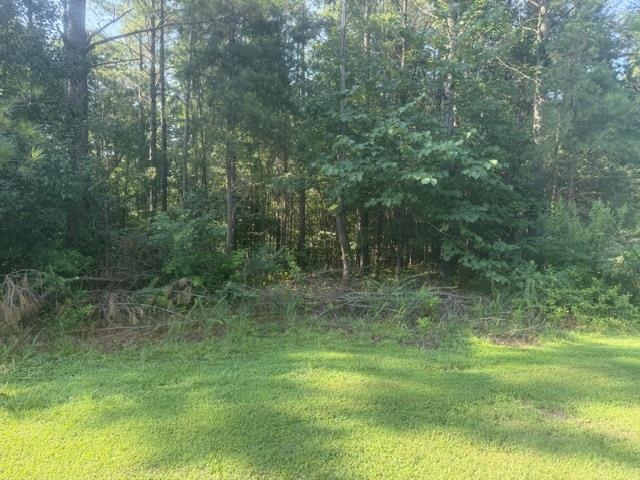 Tract 3 Carroll Hollow Rd Property Photo 10