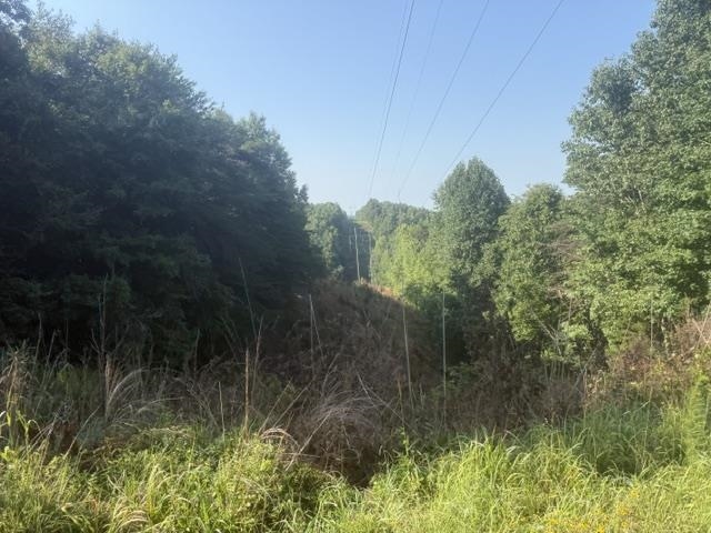 Tract 3 Carroll Hollow Rd Property Photo 11