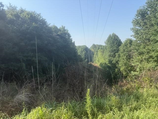 Tract 3 Carroll Hollow Rd Property Photo 12