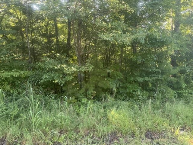Tract 3 Carroll Hollow Rd Property Photo 13