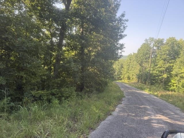 Tract 3 Carroll Hollow Rd Property Photo 14