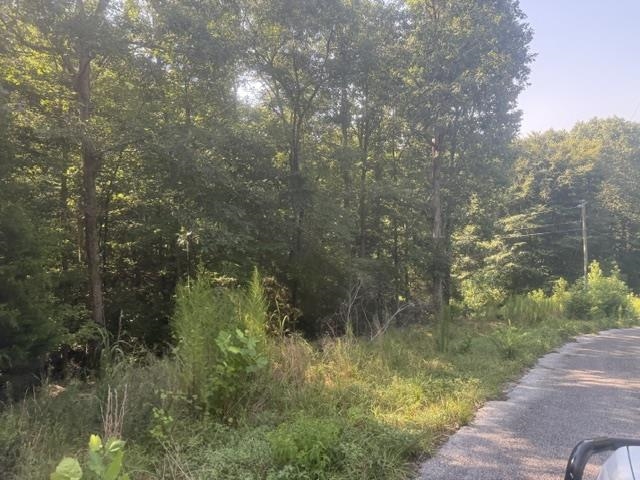 Tract 3 Carroll Hollow Rd Property Photo 15