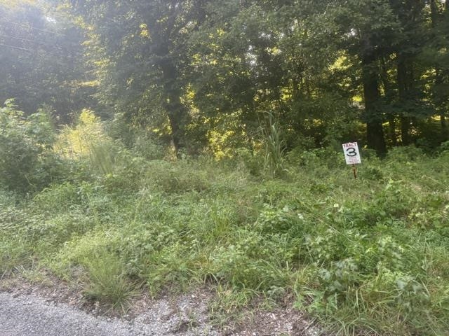 Tract 3 Carroll Hollow Rd Property Photo 17