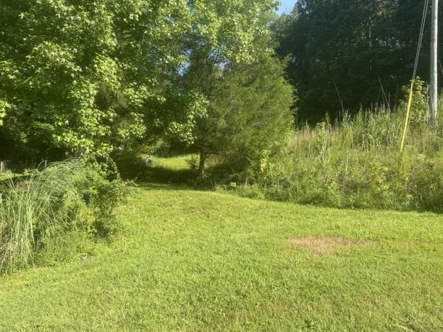 Tract 3 Carroll Hollow Rd Property Photo 19