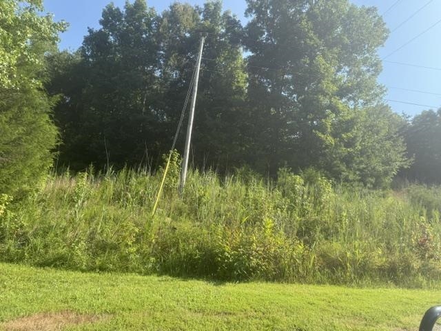 Tract 3 Carroll Hollow Rd Property Photo 20