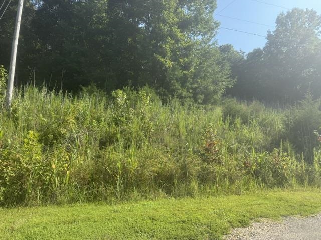 Tract 3 Carroll Hollow Rd Property Photo 21