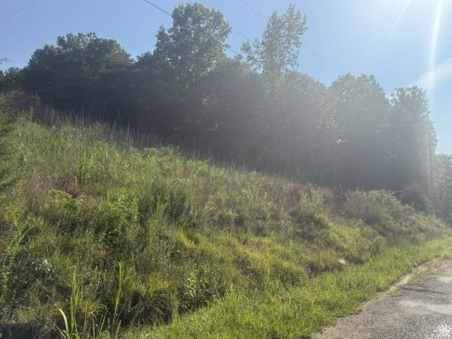 Tract 3 Carroll Hollow Rd Property Photo 22