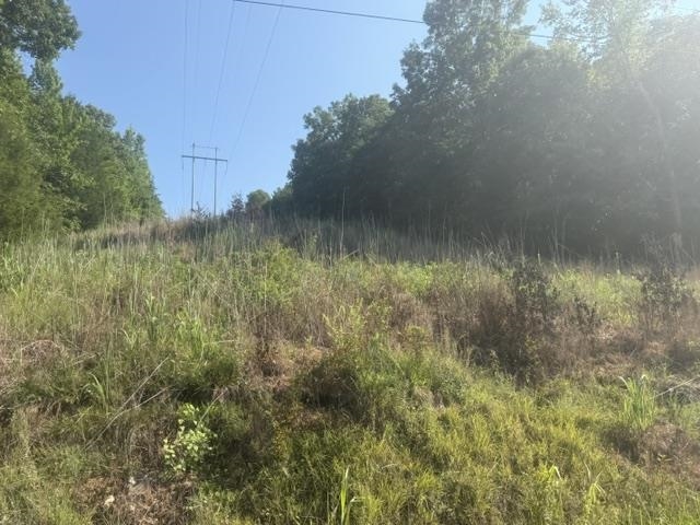 Tract 3 Carroll Hollow Rd Property Photo 24