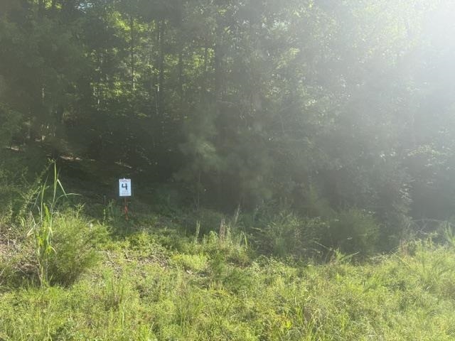 Tract 4 Carroll Hollow Rd Property Photo 3
