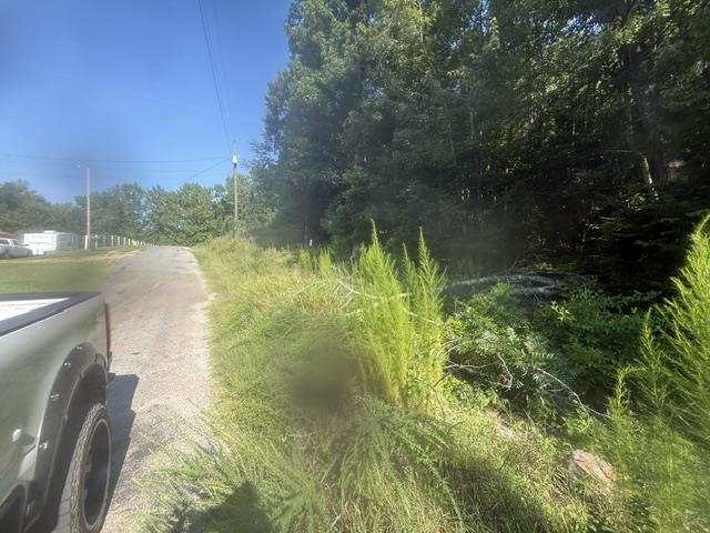 Tract 4 Carroll Hollow Rd Property Photo 6
