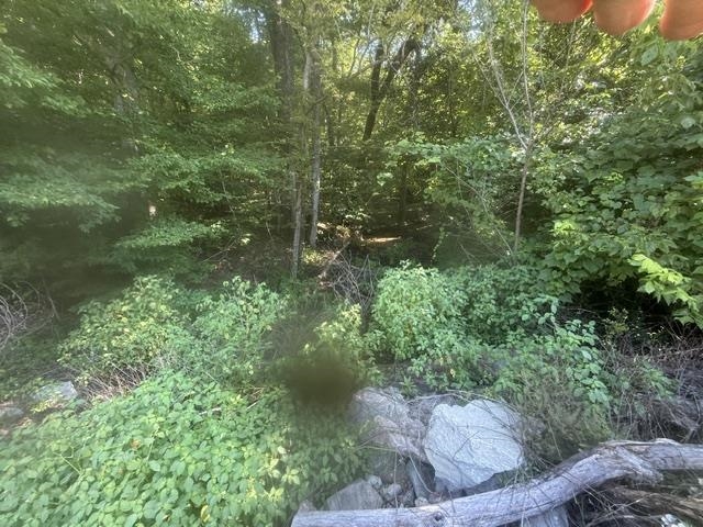 Tract 4 Carroll Hollow Rd Property Photo 7