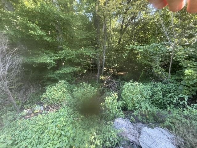 Tract 4 Carroll Hollow Rd Property Photo 8
