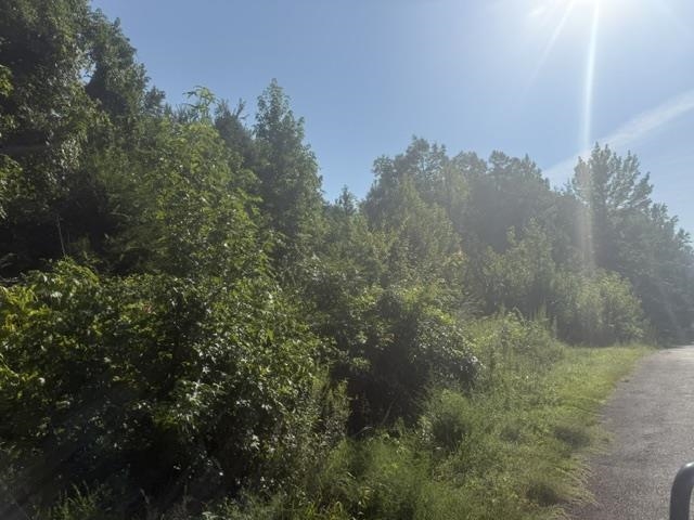 Tract 4 Carroll Hollow Rd Property Photo 9