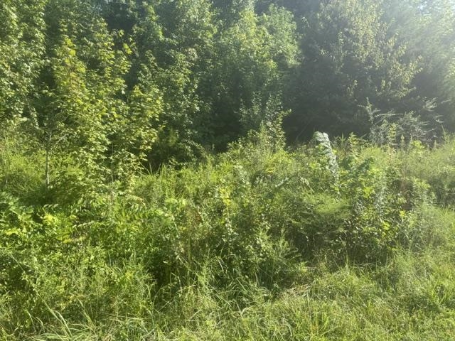 Tract 4 Carroll Hollow Rd Property Photo 10