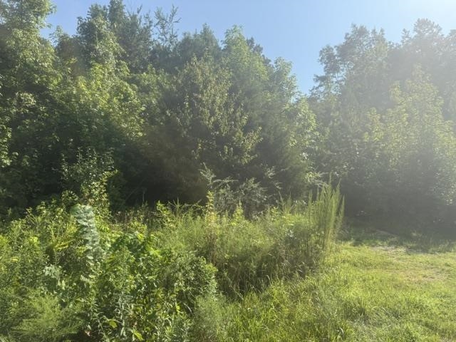 Tract 4 Carroll Hollow Rd Property Photo 11