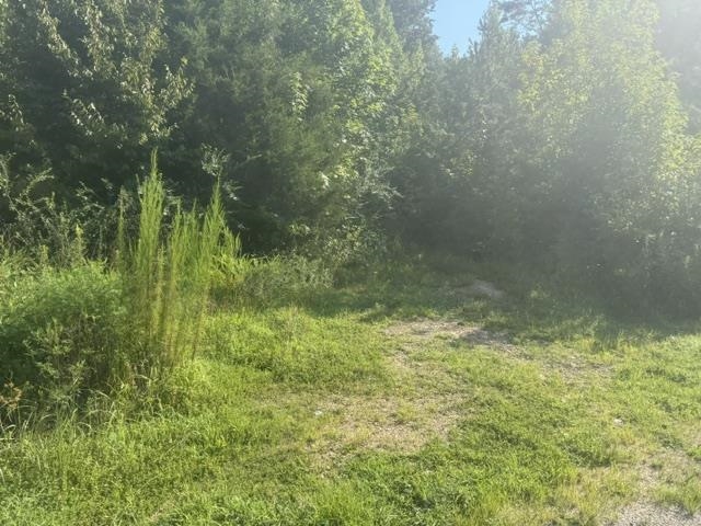 Tract 4 Carroll Hollow Rd Property Photo 12