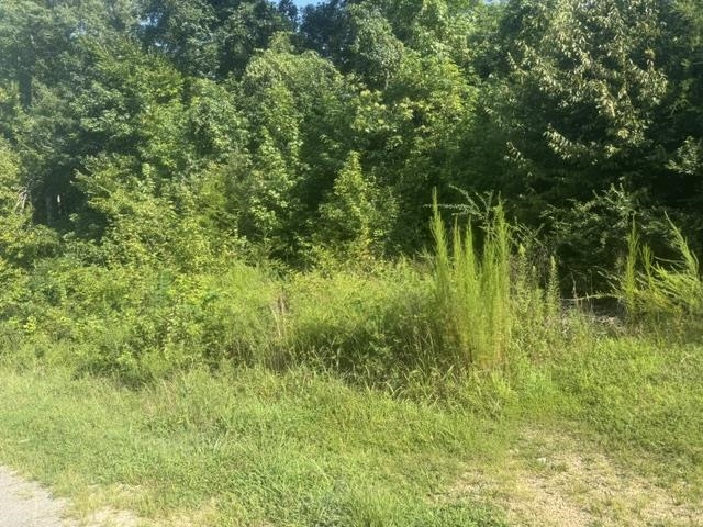 Tract 4 Carroll Hollow Rd Property Photo 13