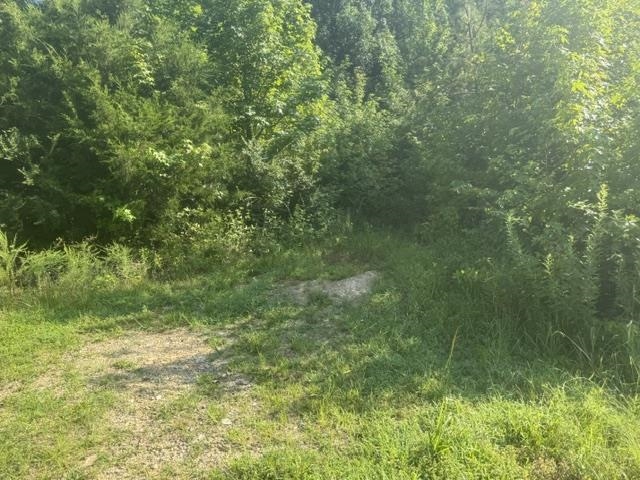 Tract 4 Carroll Hollow Rd Property Photo 14