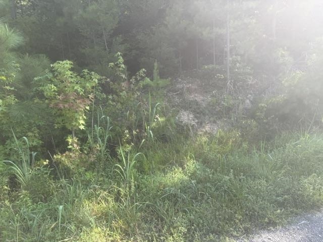 Tract 4 Carroll Hollow Rd Property Photo 16