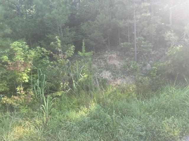 Tract 4 Carroll Hollow Rd Property Photo 17
