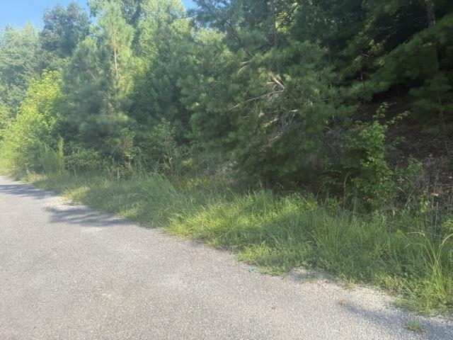 Tract 4 Carroll Hollow Rd Property Photo 18