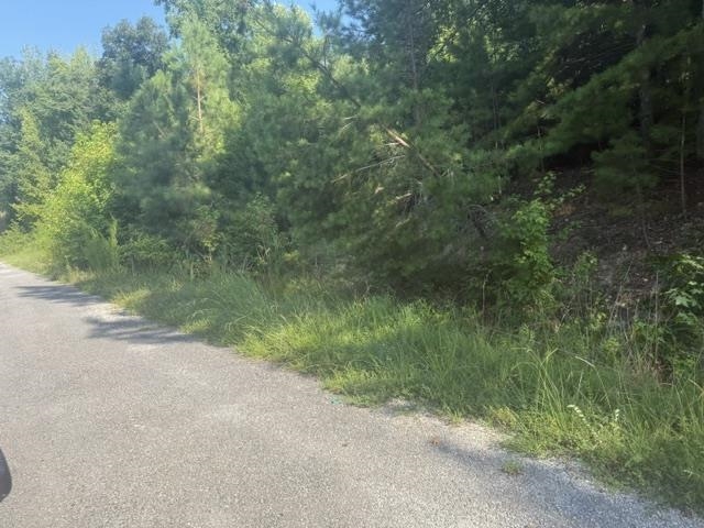 Tract 4 Carroll Hollow Rd Property Photo 19