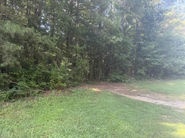 Tract 4 Carroll Hollow Rd Property Photo 21