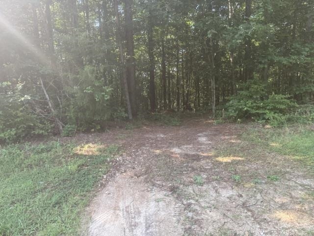 Tract 4 Carroll Hollow Rd Property Photo 23