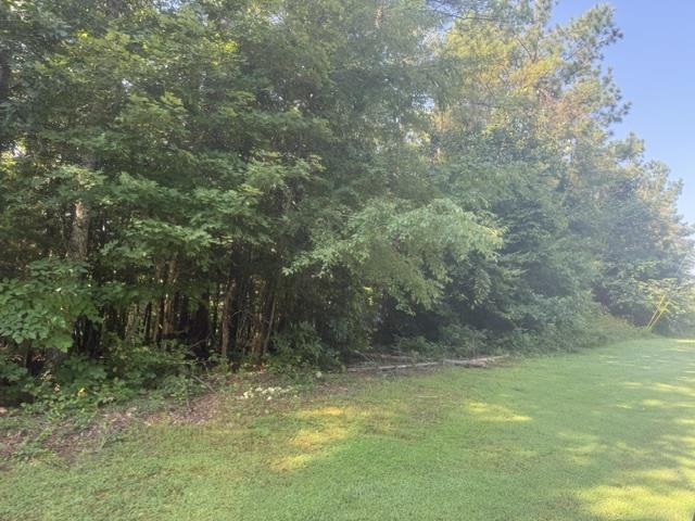 Tract 4 Carroll Hollow Rd Property Photo 24
