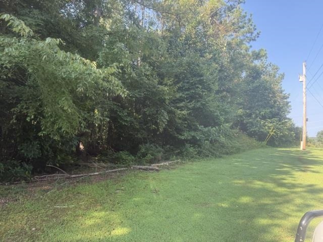 Tract 4 Carroll Hollow Rd Property Photo 25