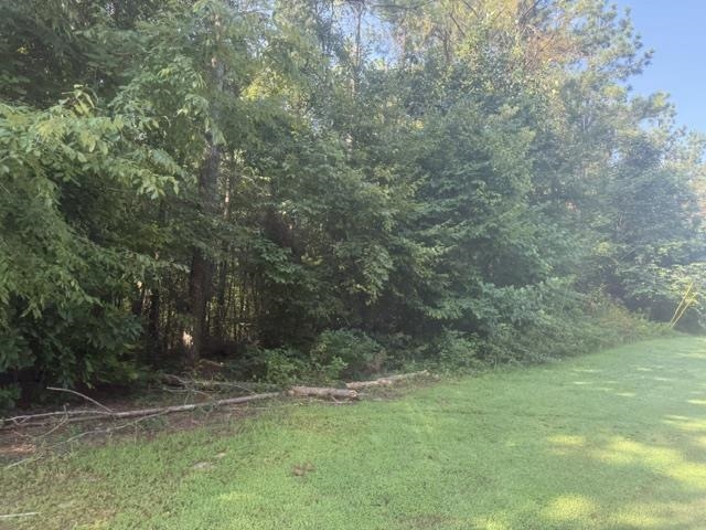 Tract 4 Carroll Hollow Rd Property Photo 26